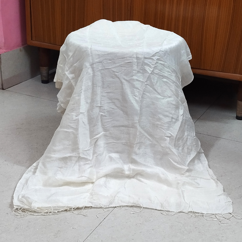 💎 Handloom Luxury: Pure Handloom Silk Stole in Natural White - View 2